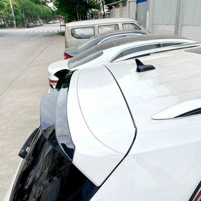 Wing, Roof Wing, Spoiler, Fixed wind wing