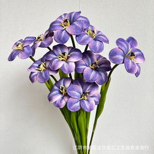 ��ֻЦĘ������EVA���滨��c�[�O�͏d��̨�bҾӔzӰ��Y�b�