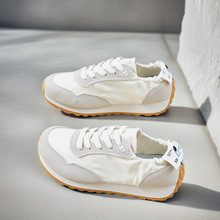 insn氢ЬŮ2025͸ӖWܲ\eŮЬFB2213