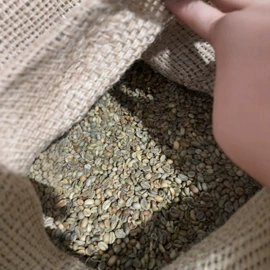 咖啡豆;咖啡生豆;挂耳咖啡