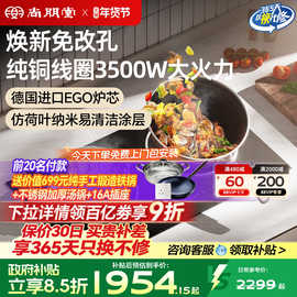 尚朋堂10A嵌入式双灶电磁炉电陶炉家用2025年新款纯铜大功率3500W