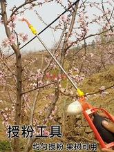 梨花授粉工具器伸缩杆果树授粉枪猕猴桃梨树樱桃花粉苹果点花