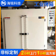 新能源行业专用真空烘箱双开门恒温工业烤箱轮毂烤漆精密高温烤箱