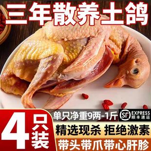 4ֻ���������r�������r����������������r��ɢ�B�F���������Ʒ