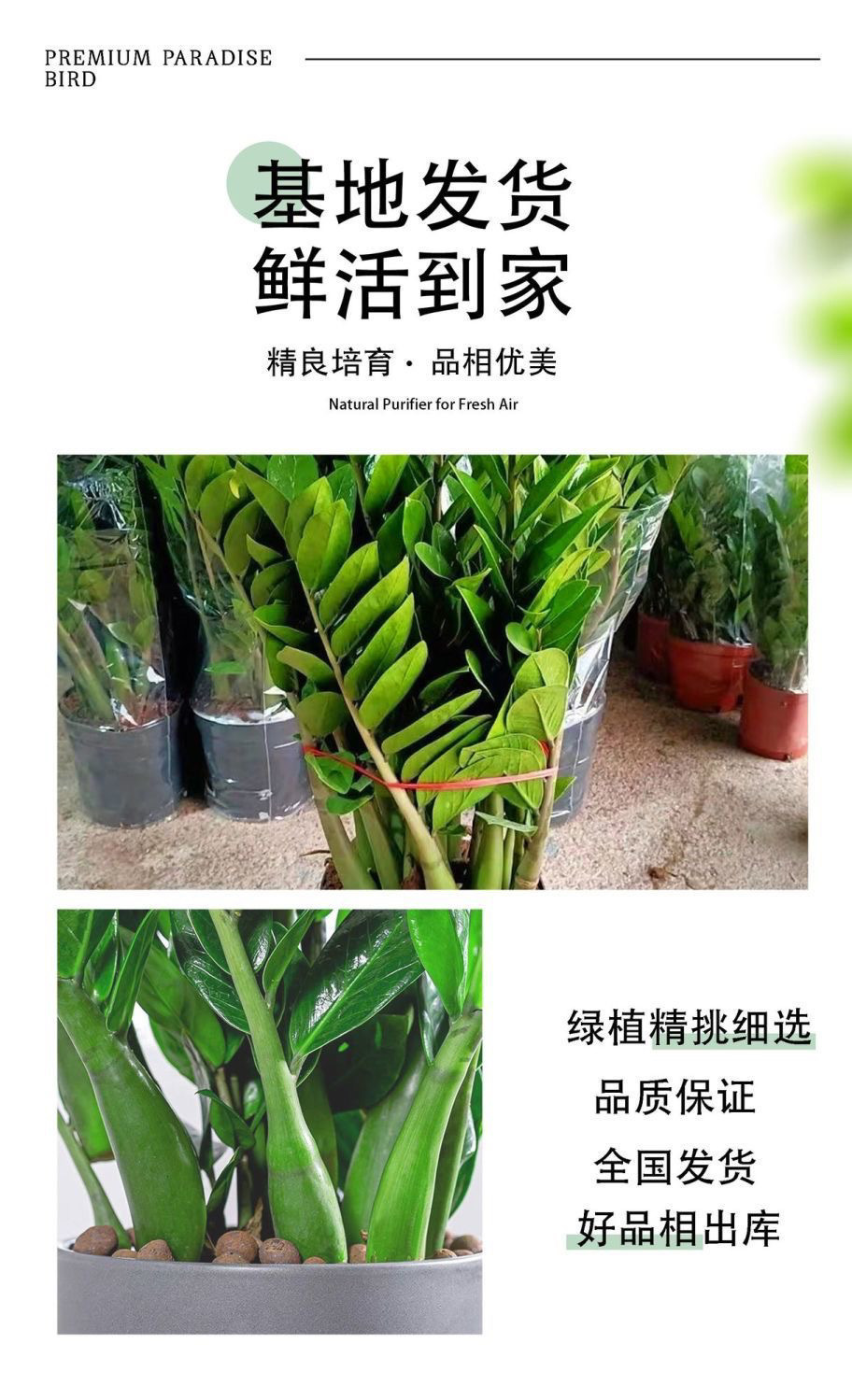 673e6565-96ae-438b-bc2a-469de1ff46d7.jpe