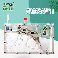蚁箱宠物工坊幼儿园观察蚁巢窝饲养缸玩具别墅基地蚂蚁城垒麦太保