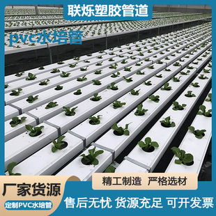 PVCˮ��Nֲ���r�I�߲˟o�������ù� ��ͥԺ��ʽ�̨�Nֲ�ܷ���