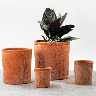 ���l���ռt�������脓�⻨���մ�ֱС����ֲ���Ͳ����t���̨��