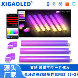 6+2幻彩FRGB蓝牙Wifi涂鸦AlexaDIYLED气氛围壁灯轻奢风格室内长条