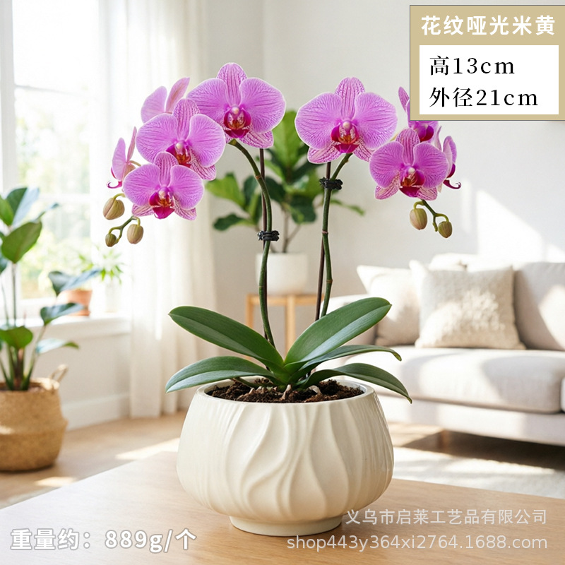 Cerámica orquídea mariposa maceta especial ins crema viento alto sentido decoración del hogar verde cerámica maceta grande image 21