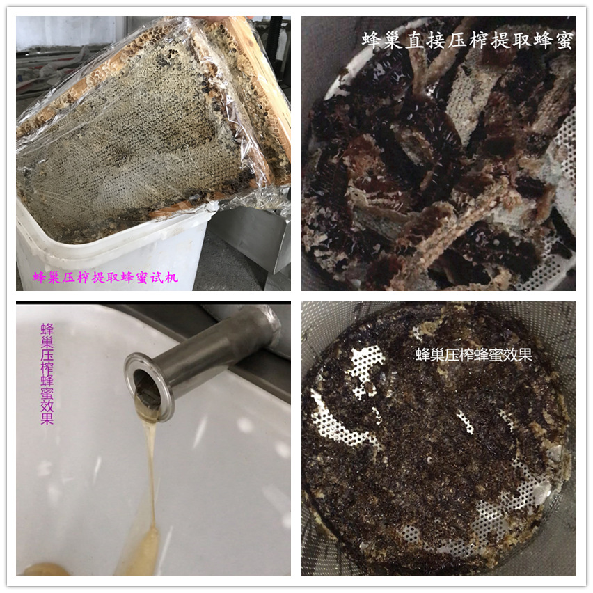 IMG_215156786_副本