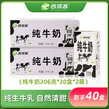 西域春全脂纯牛奶206g*20盒*2箱新疆奶源青少年乳品
