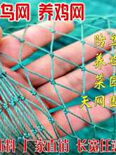 �B�u�W�O�W���o�W�Bֳ�W����W�����W���o�W�ˈ@�W�o�ھW�~�W