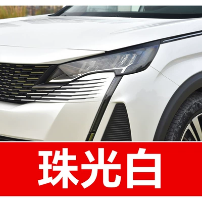Car Special Color – Avtomobil boya qələmləri - take-one-shot-and-two-color-paint-1-and-brightening-polish-1-and-then-send-a-tool-kit-sandpaper-cleaning-cotton-pen-tip-pearlescent-whitepearl-white