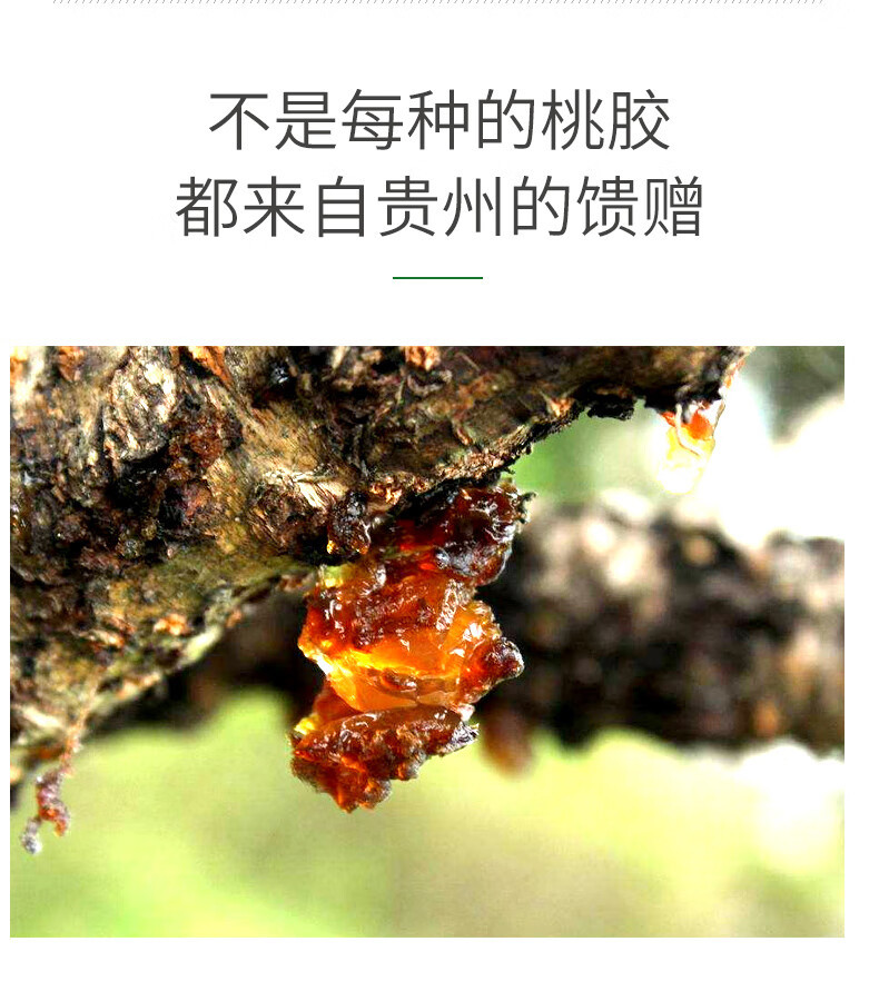 Peach Gum 500g Natural Tao Jiao Resin for Dessert Soup and Herbal Cooking specifications
