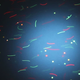 证件单据防伪;其他防伪产品;水印纸