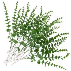 アマゾンのクロスボーダーのシミュレーションの単一のユーカリの葉ユーカリの葉の花の芸のプラスのお金の葉の結婚祝いの家の装飾