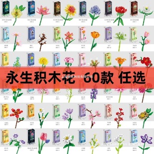 ���lõ�����տ�ƴ�b��ͯ���������eľ���������һ���˹�ˮ��