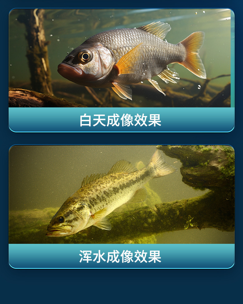 88f3dc9f-7b91-4780-8fbc-888157f65382.jpe