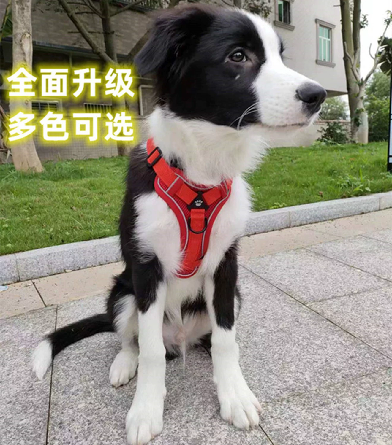 Поводок для собак в виде жилета, светоотражающий, дышащий, с антизапутывающимся механизмом, для кошек и собак.