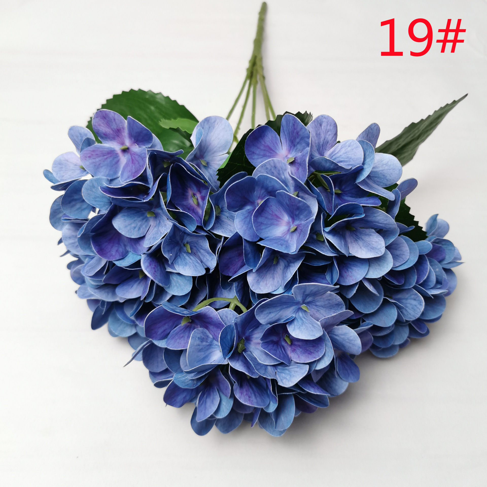 19#