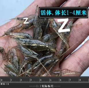 ���AС�L�ۻ��w�����r�~�׳����坍�^�p�r��ិ���Bֳ�~�D����r