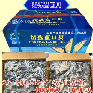 �����x�{��ؐ20��/���r��ˮ�a�뚤���ؐ�ك��OؐҰ��ؐ����