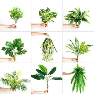 ˹ݷ滨֦廨ֲ֦쾰bWLپGֲ֦