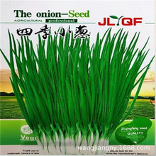 【跨境电商供货】彩包种四季播种室内阳台盆栽花卉种子家庭花种葫