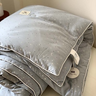 Autumn and winter New elegant silk cotton spring and autumn quilt single double soybean fiber Four Seasons quilt student dormitory quilt core wholesale