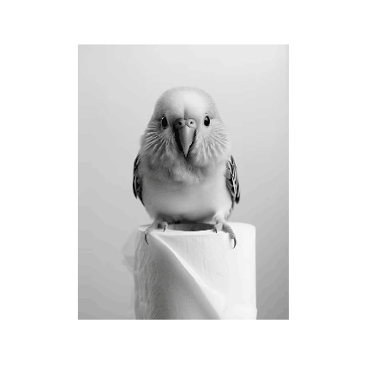 Negro y blanco adorables animales con papel higiénico póster búho perro lienzo pintura de pared arte baño sala de estar decoración del hogar