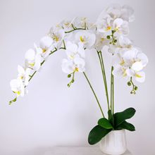 �S�����l����3D��ӡ9�^�zƬ�����m�ߙn�ٻ��Ҿӻ�c�[���b��m��