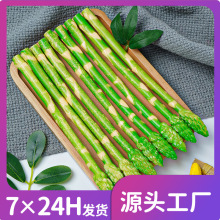 厂家直销仿真芦笋竹笋蔬菜水果模型道具家居幼儿园玩具假芦笋批发