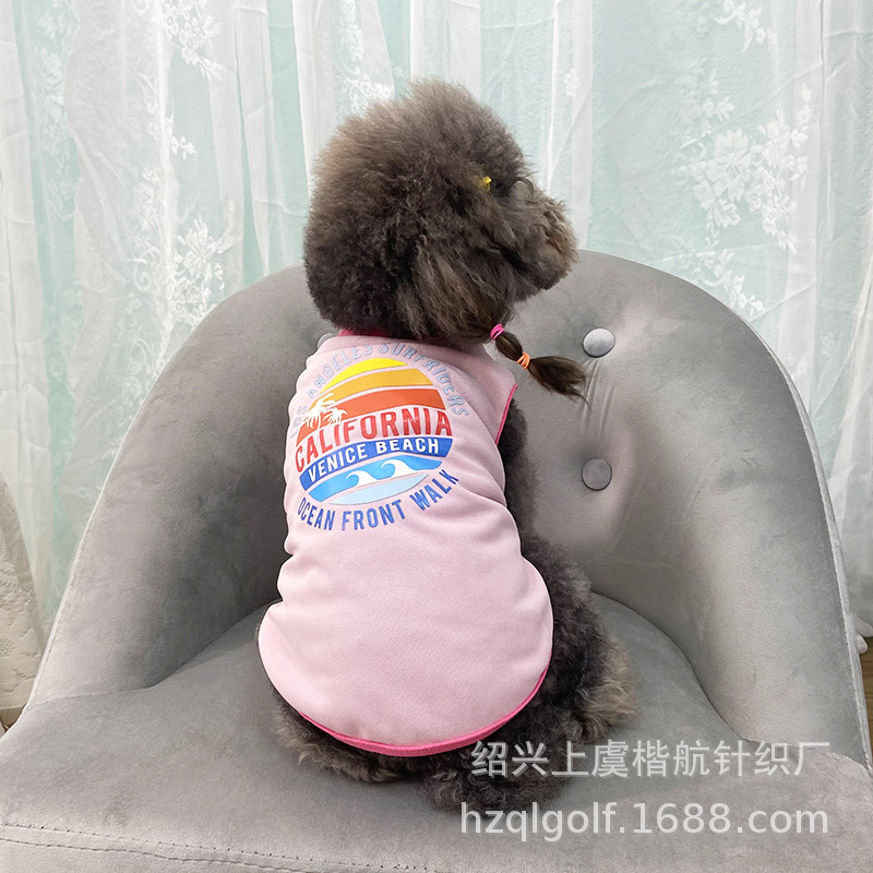 ɹT ӡT ̩СȮɫӡTװ