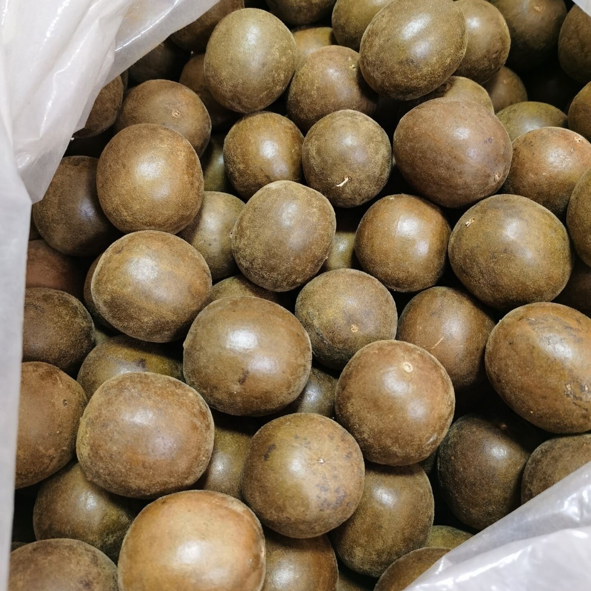 罗汉果 干果批发广西桂林传统烘烤罗汉果大果独立包装防破食品