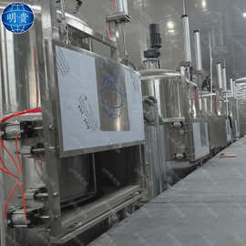 香酥莲子真空油炸机 蚕豆花生真空低温油炸锅 不锈钢炸蔬菜干机器