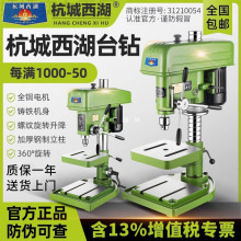 ͹Į荴ʸ߾;̨ʽ荴