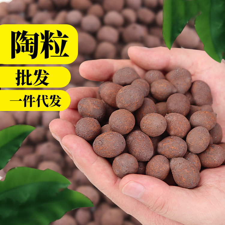 Factory Direct Sales and High-Quality Ceramsite Flower Ceramsite Flower Cultivation to Relieve Rotten Roots and Breathable Paving Bottom Hydroponics Backfill