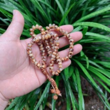 �M�ڰͻ�˹̹Ҭ����99�w6mm�ִ��ͶY��P�����