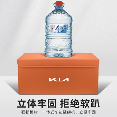Storage Box, Car storage bag/box
