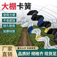 ���ۉ�Ĥ�ۿ��ɿ��z���l��Ĥ�ɏ����r�I���l���Ҵ������