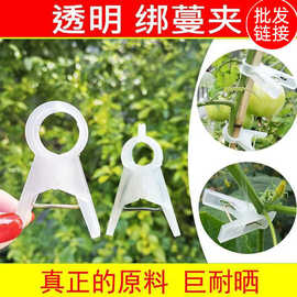 吊秧夹子大棚黄瓜西红柿吊秧夹番茄子农用吊蔓扶蔓绑蔓夹落秧夹子
