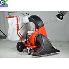 小型燃油式吸树叶机 直走式烟头清扫设备 手推式公园树叶清扫机