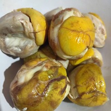 ë�u�����l���r����ë���u�뵰�u�ߵ���ϲ���ǻ������P�˵��W�t