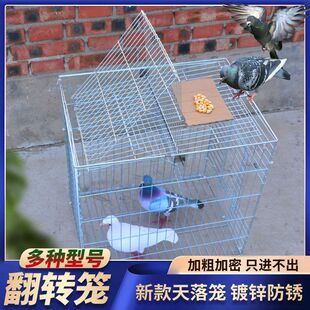 �Ԅӷ��D����\���ۯB��\��y���T����\���G�\�����\�����̨�\