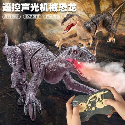 2.4G wireless remote control Raptors Electric acousto-optic Spray Lay eggs dinosaur Toys Tyrannosaurus Rex Model children Toys