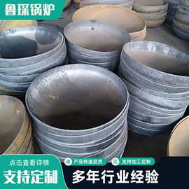 蒸汽发生器;燃煤锅炉;不脱硫除尘