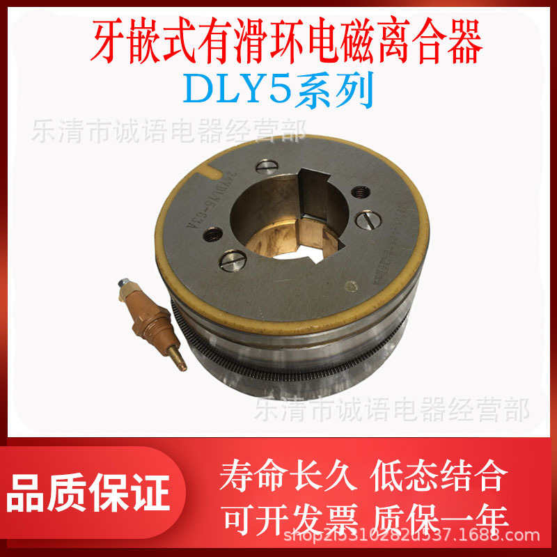 牙嵌式有滑环电磁离合器文达DLY5-10A/DLY5-16A 25A 40A 63A 100A