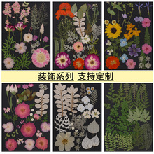 干花压花diy材料墙面装饰幼儿园环创主题植物标本书签押花材料包