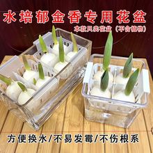 ˮ�������㻨��͸���ǲ�����ƿ�����϶�ֲ�@ˮ�B������N��